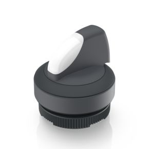 RAFIX 22 FS+ bel vridbrytare 2x40° mom. svart